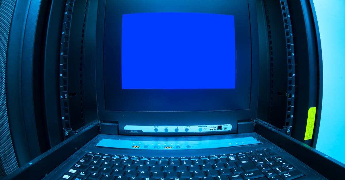 菠萝蜜APP详情下载教程音乐