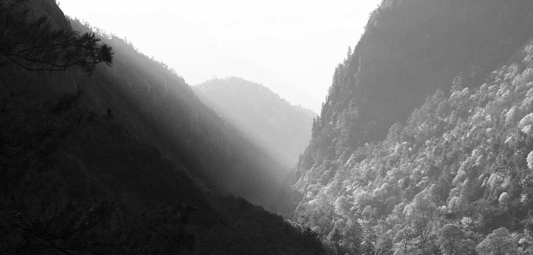 三五财富卡实名账号：荥阳商标注册的代理申请