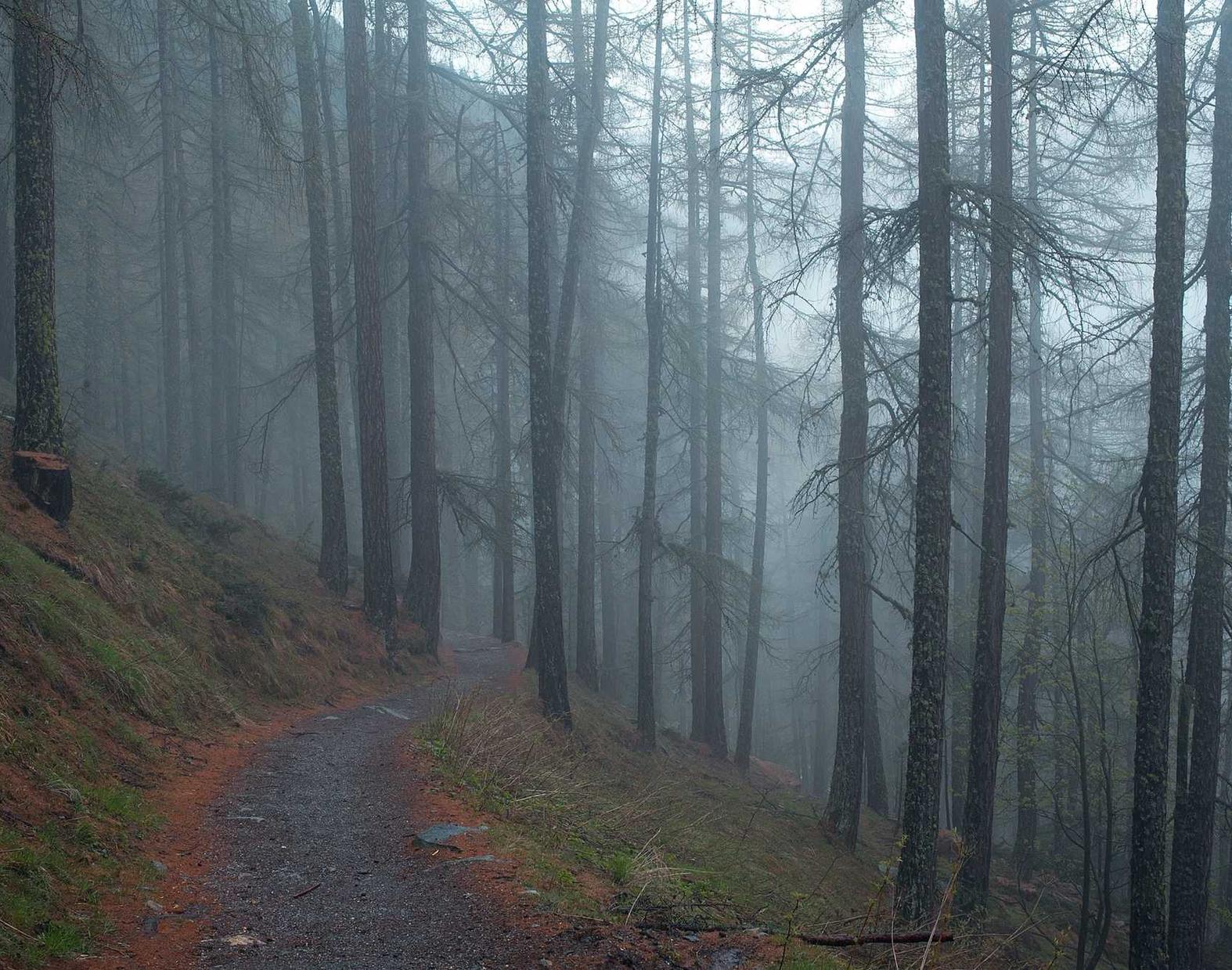 阿里通讯实名账号:相机出售代理平台
