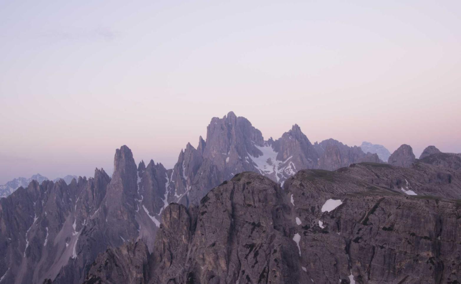 食品溯源平台代理
