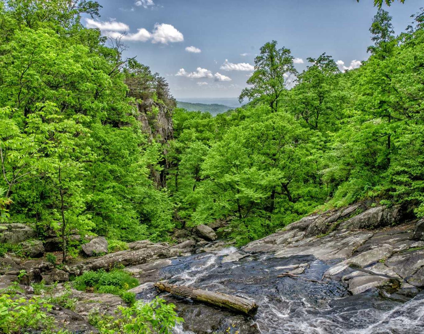 铁塔猫酸奶爆珠(粗):南通工商注册代理需要多久