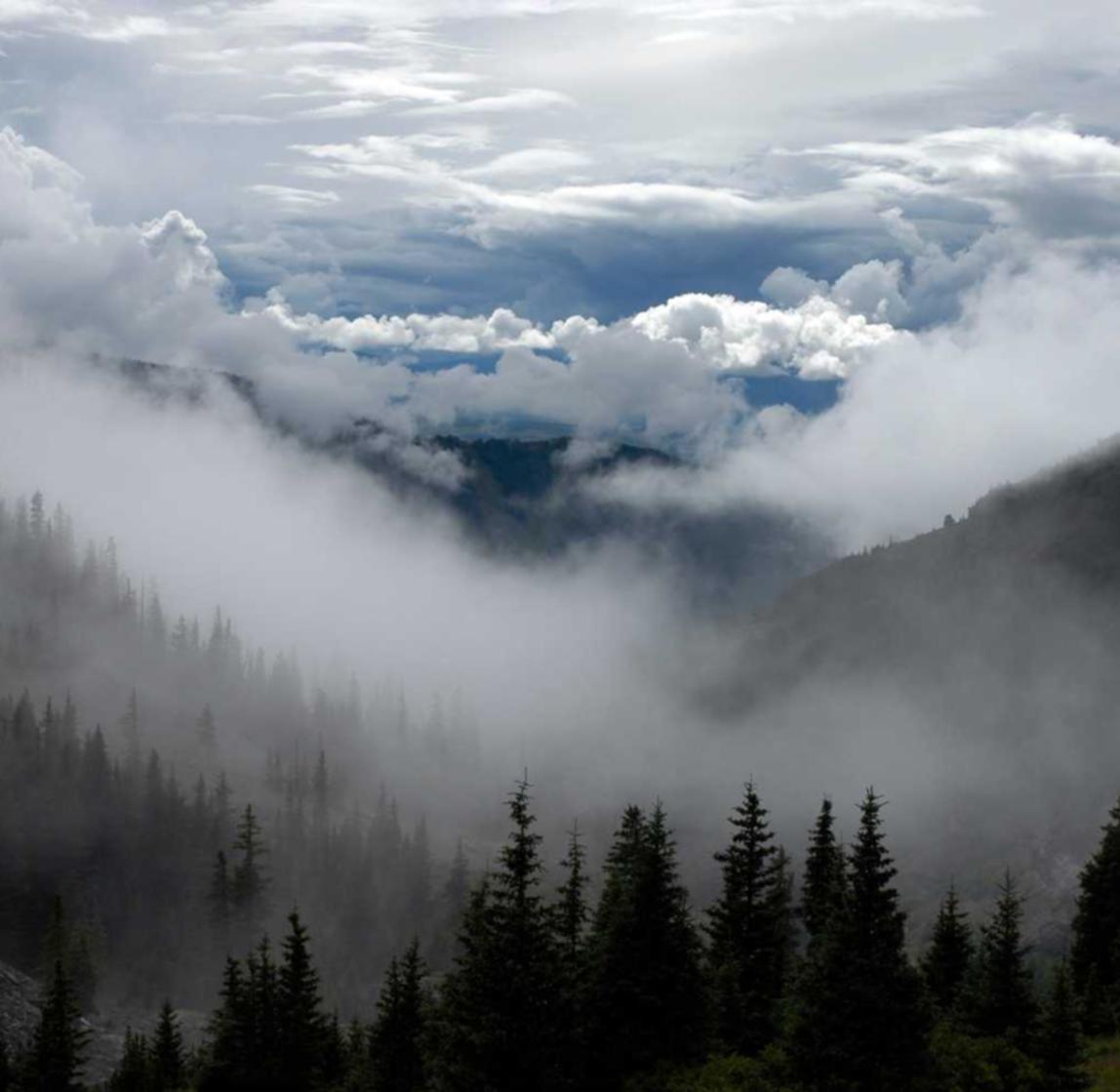 外贸公司代理代办注册