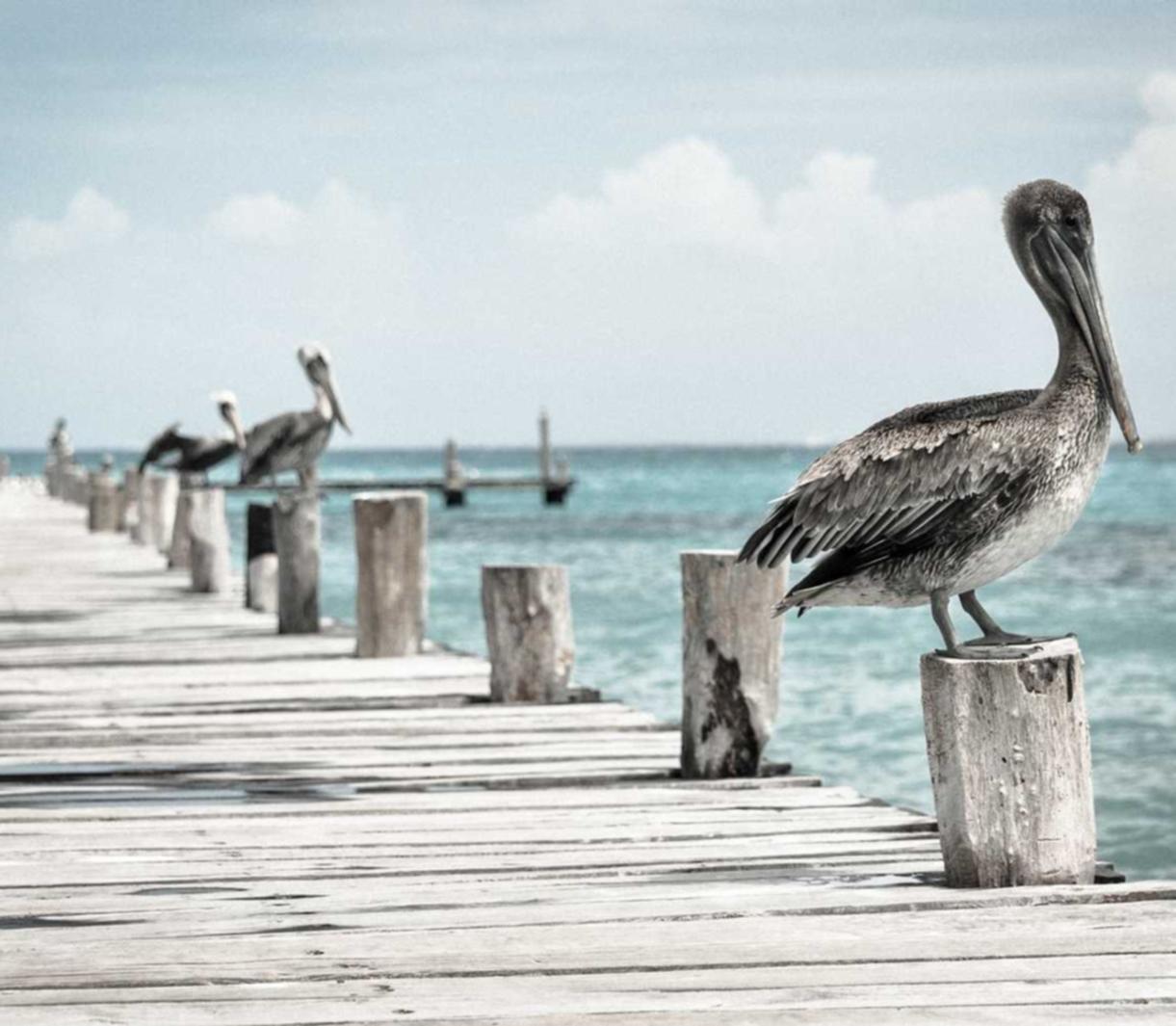 腾讯云实名账号:如果详情下载教程APP打开