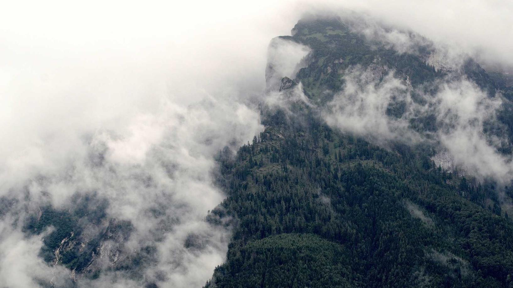 烟雾导致了气温测量误差