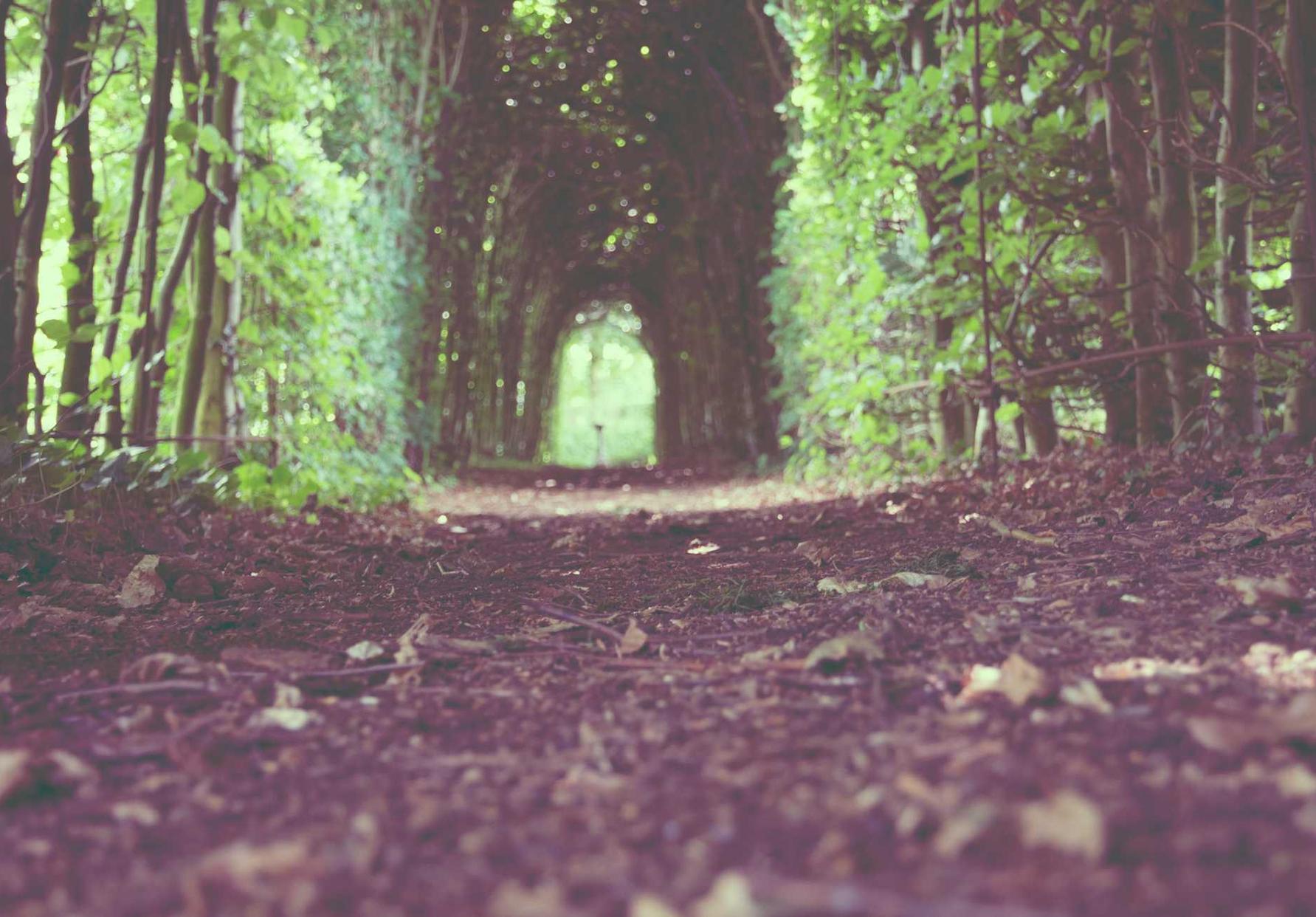 瑞安注册代理记账平台