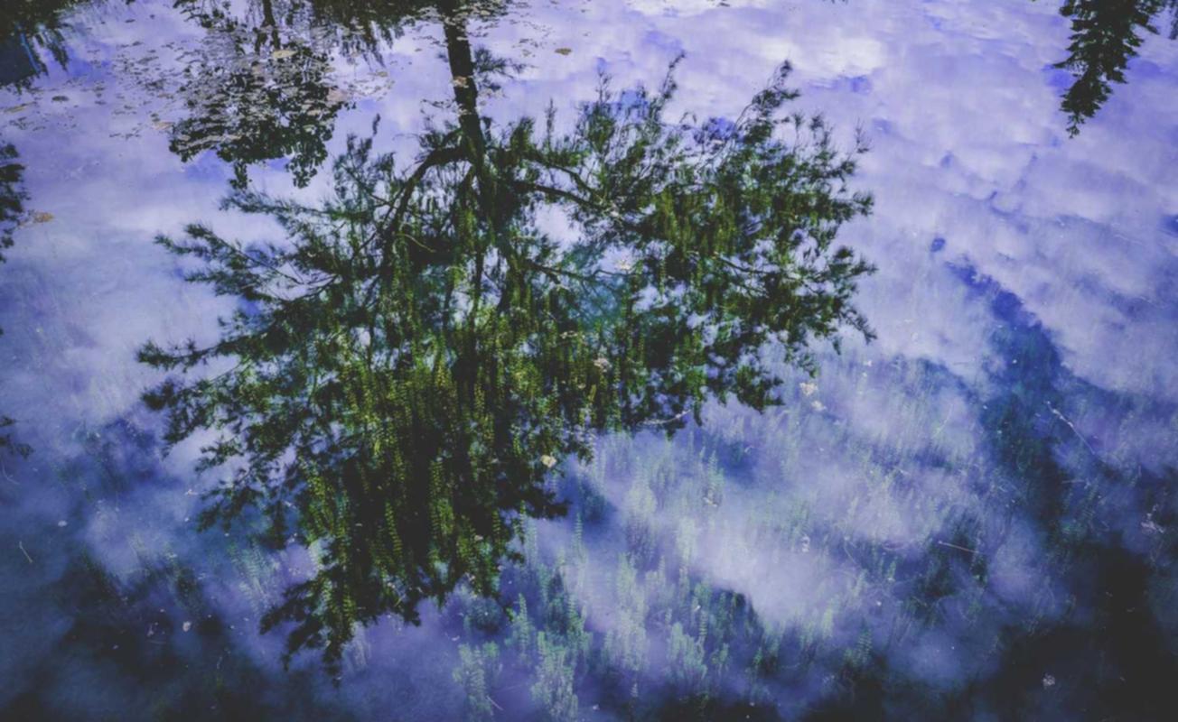 正规的物联卡:怎么购买运满满账号