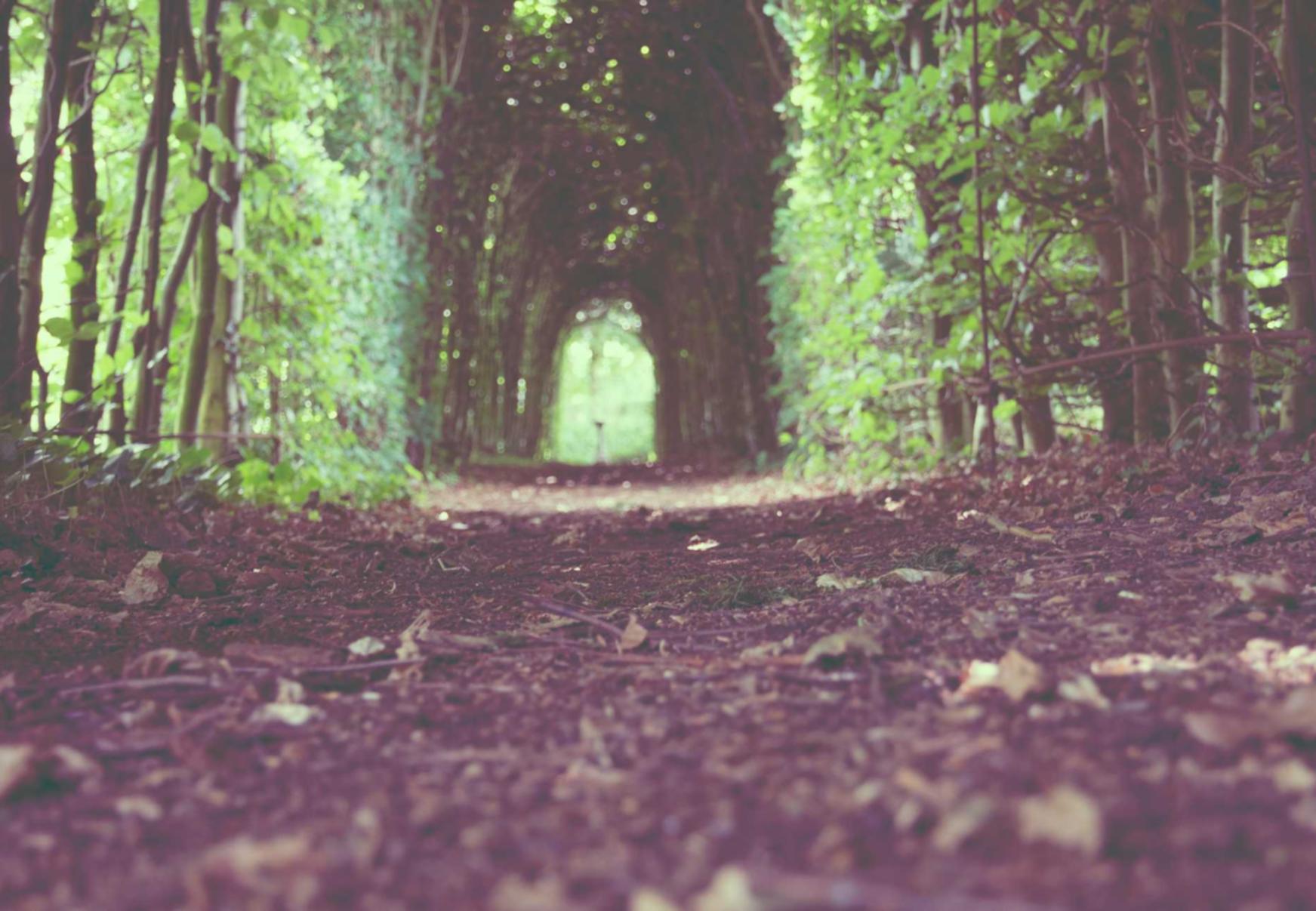 黄标七星:保定物资购买平台