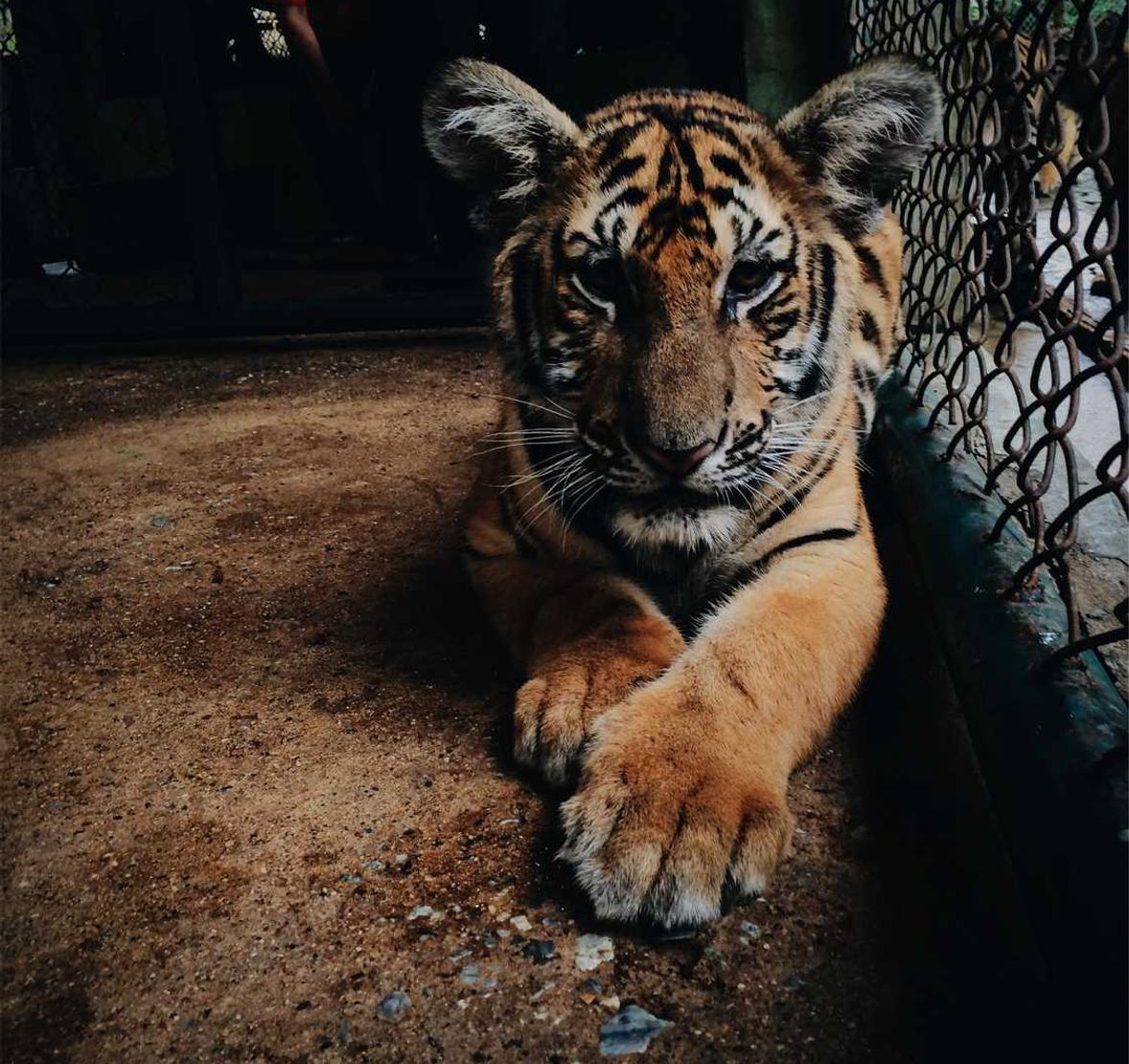 微信新老号买卖：流量卡和无人机的关系和应用