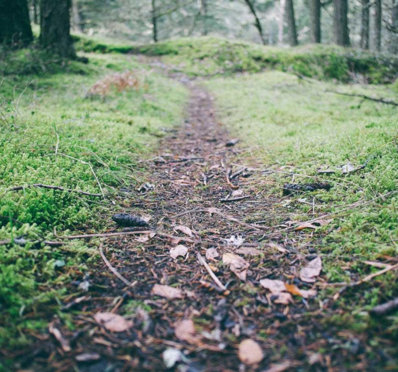 元气骑士：亚马逊解封代理平台