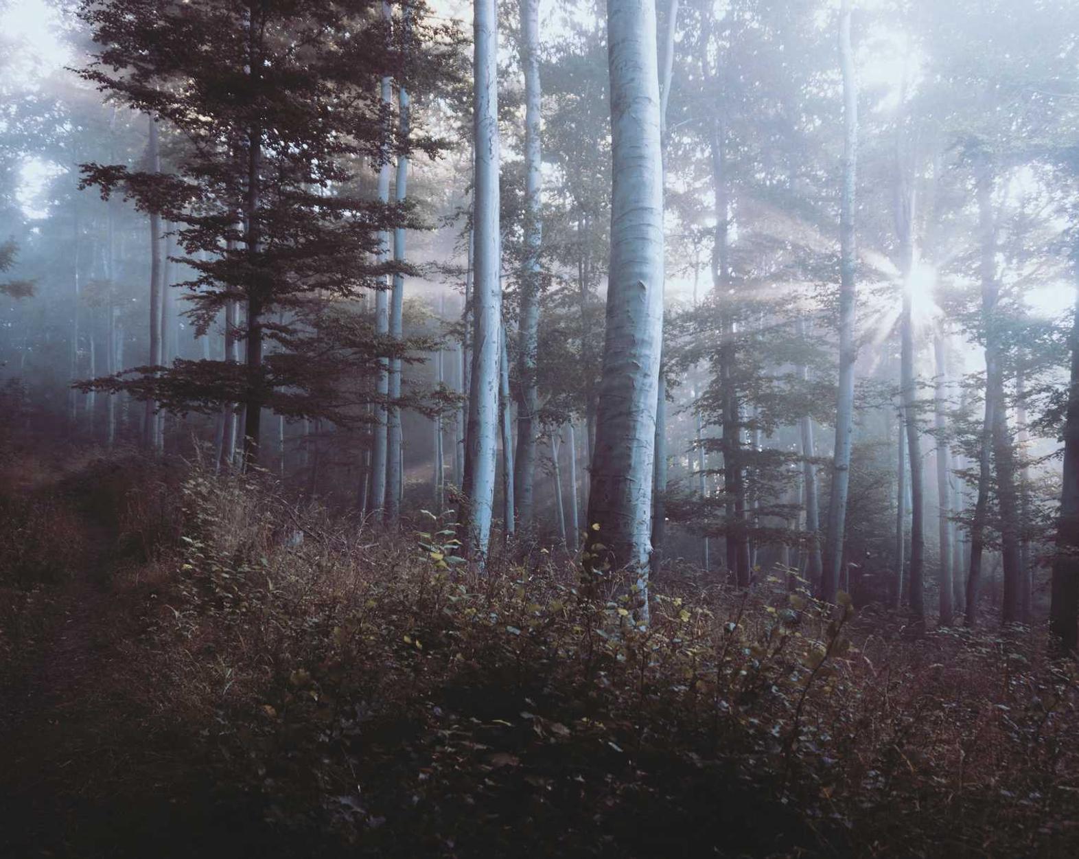 tcp攻击|购买资料书平台