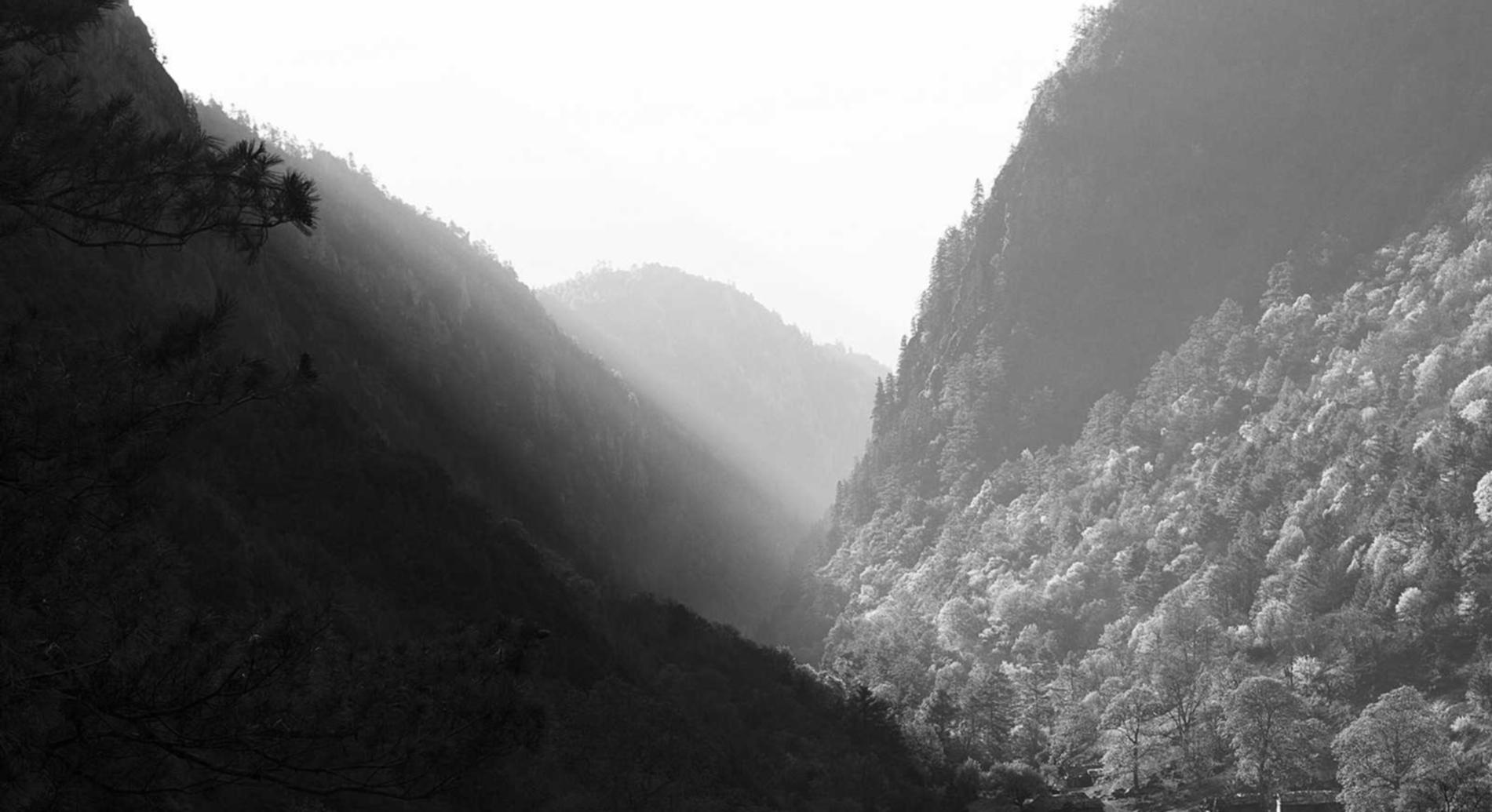 彩吧娱乐，注册|绍兴代理记账平台