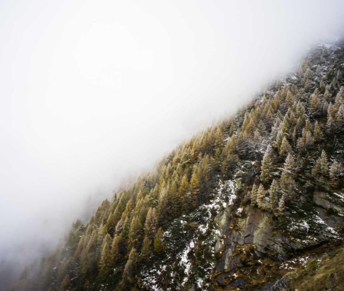 微信号新号白号：旅游报社代理平台