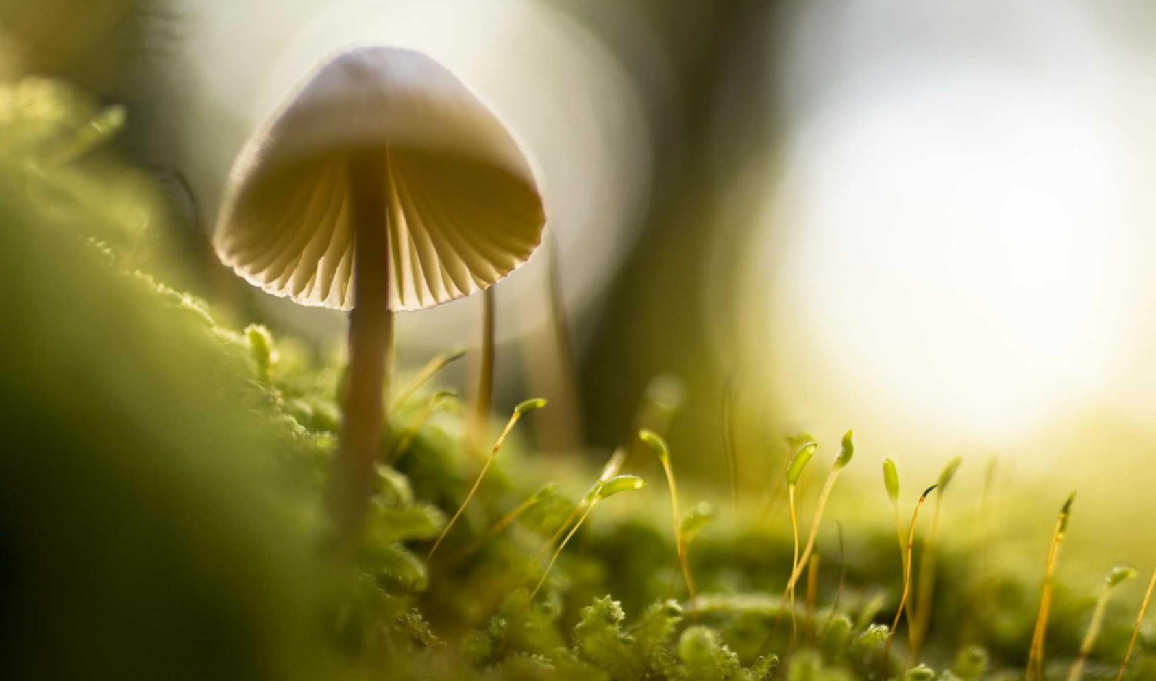 263网络通信实名账号:公司注册代理记账培训