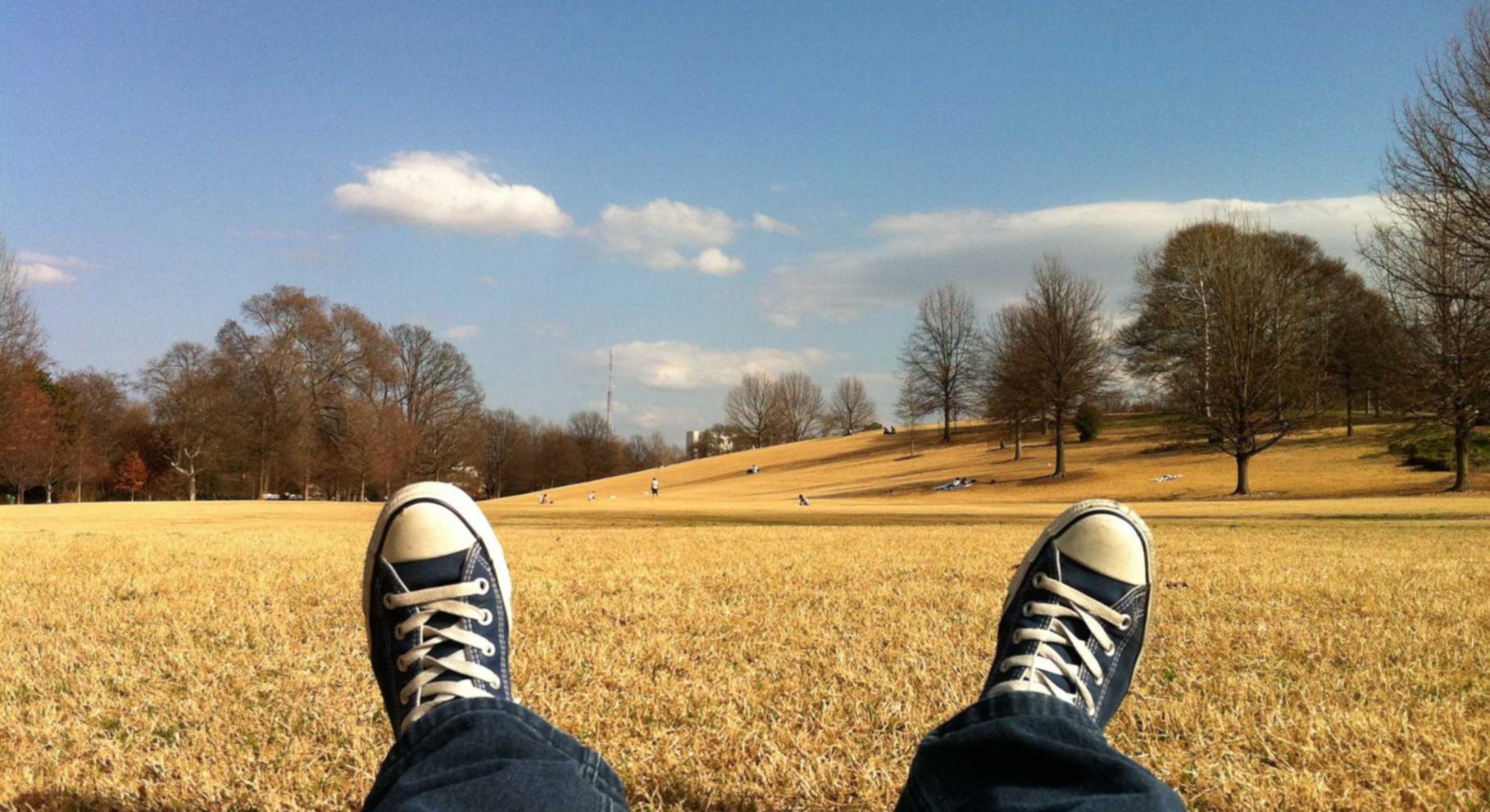 瓯海注册财务代理方案招聘