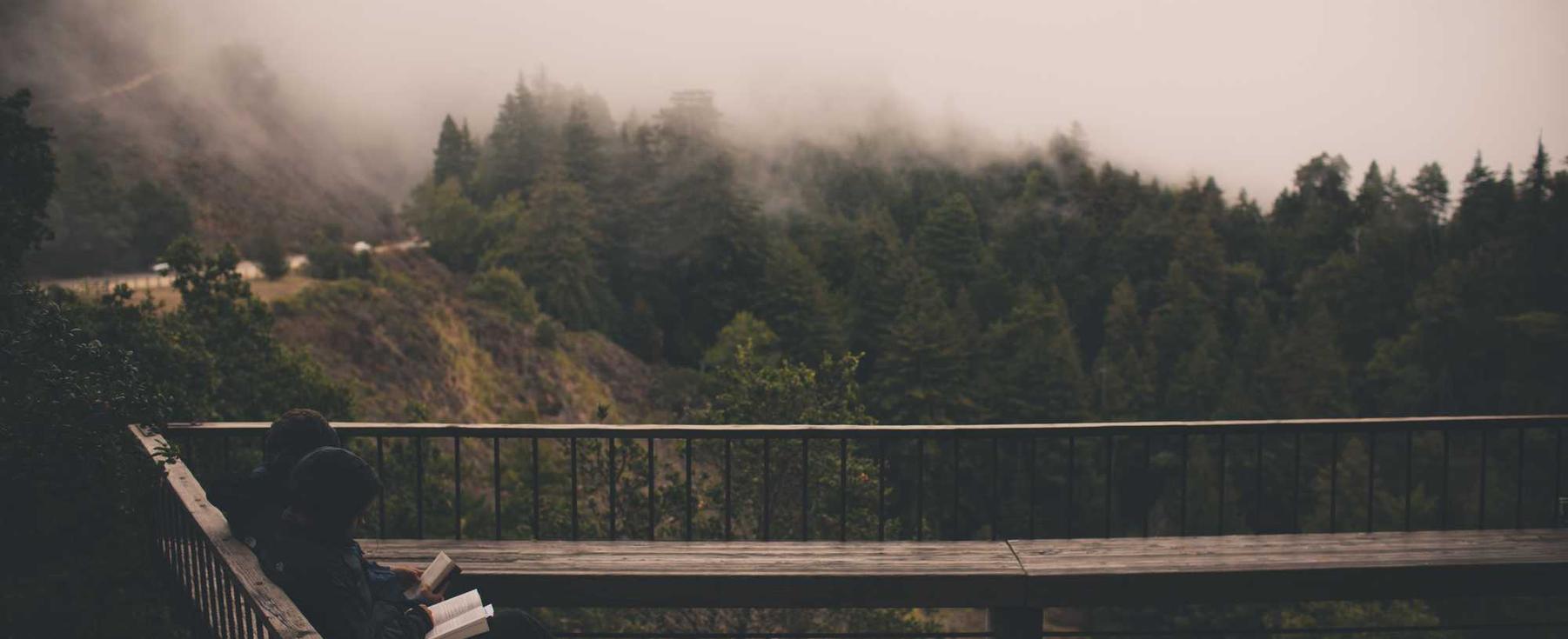 如何保护个人信息不被技术支持辅助软件窃取